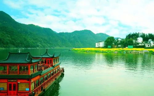 高效科技全自动